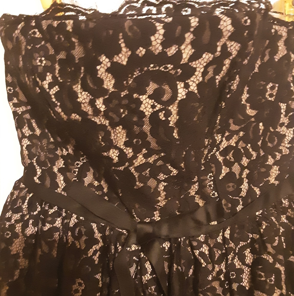 Robert Rodriguez Elegant Black and Cream Dress